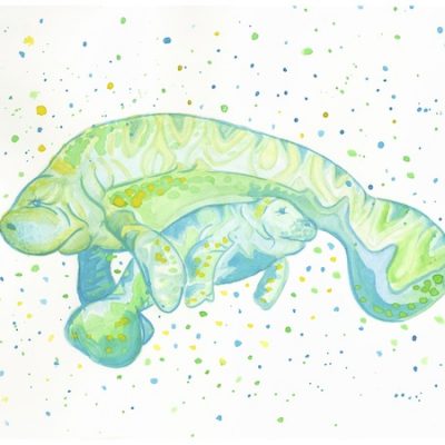 blue-and-lime-manatee-pair
