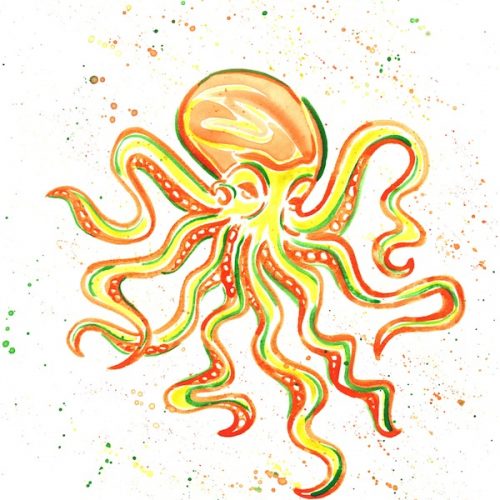 orange-and-yellow-octopus