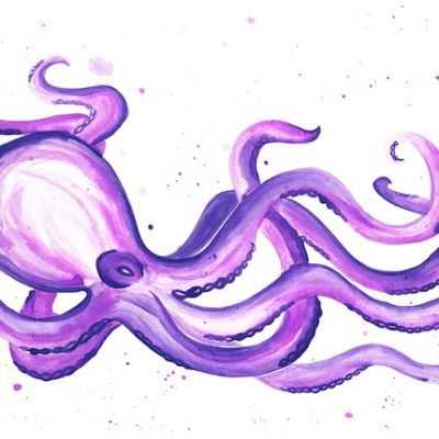 purple-octopus