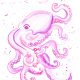 purple-and-pink-octopus