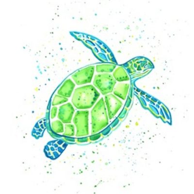 single-green-turtle