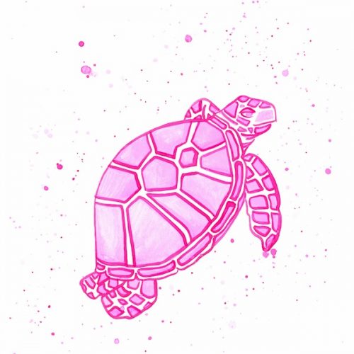 single-pink-turtle