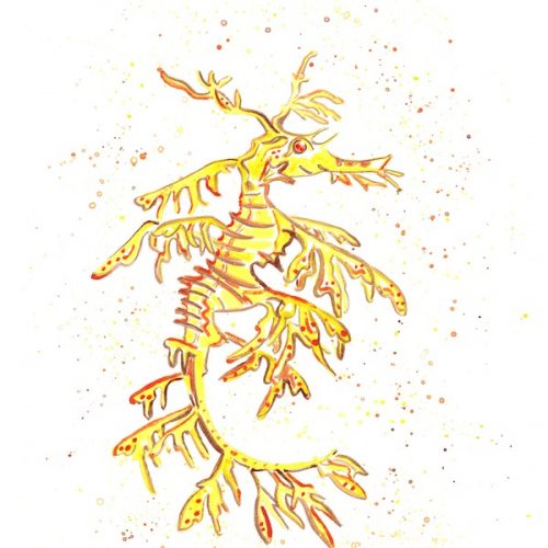 yellow-leafy-sea-dragon